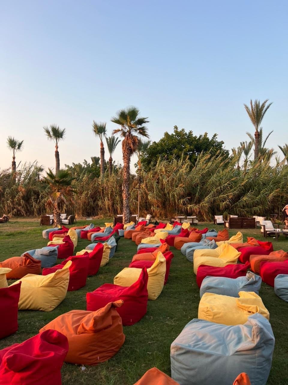 Rows of beanbag seats laid out on the grass at a Taht El Amar screening, with palm trees behind